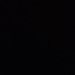 Meet your Posher, Tyson